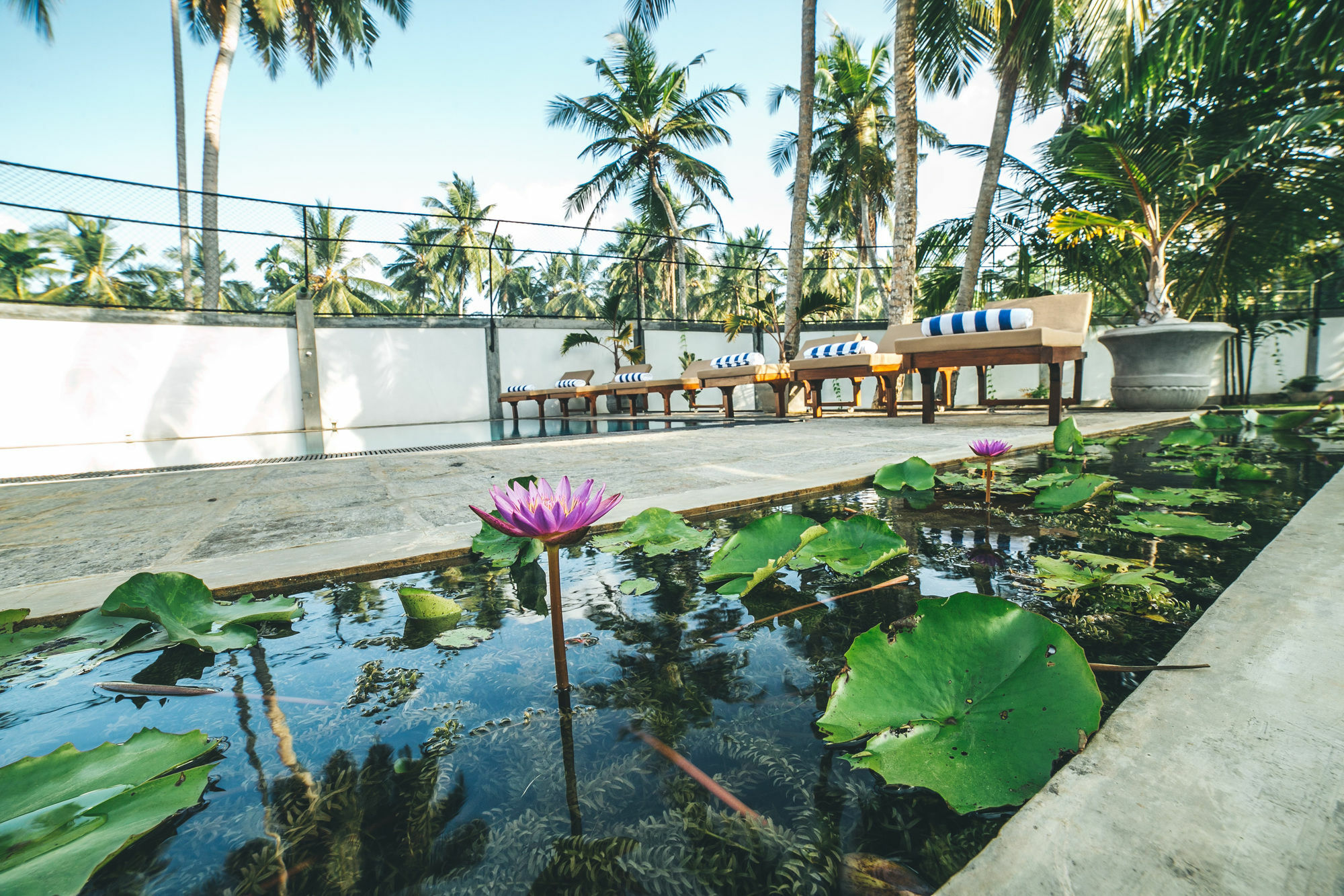 Sisikirana Villa Унаватуна Экстерьер фото